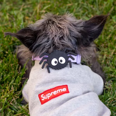 Jiby Spider Dog Tag Charm - Image 6