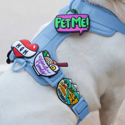 Jiby Noods Dog Tag Charm - Image 2