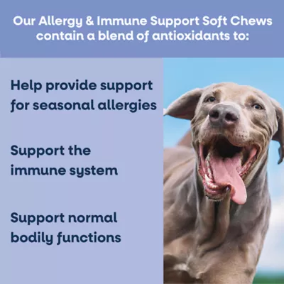 YumWell Allergy and Immune Support Dog Soft Chews, Supports Seasonal Allergies, Beef Flavor, 90 ct - Image 2