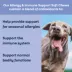YumWell Allergy and Immune Support Dog Soft Chews, Supports Seasonal Allergies, Beef Flavor, 90 ct image thumbnail 2
