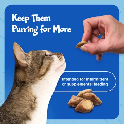 Blue Buffalo™ Bursts Crunchy Cat Treats - Liver & Beef, Natural - Image 9