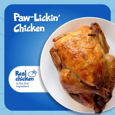 Blue Buffalo™ Bursts Crunchy Cat Treats - Chicken, Natural - Image 3