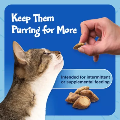 Blue Buffalo™ Bursts Crunchy Cat Treats - Chicken, Natural - Image 9