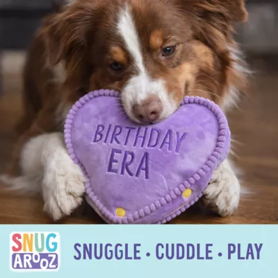 Snugarooz Birthday Era Plush Dog Toy - Image 7