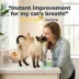 Oxyfresh Cat Dental Water Additive, Prevent Feline Gingivitis, 8 fl oz bottle image thumbnail 6