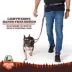 Arcadia Trail® Lightweight Dog Leash Reflective Elements for Nighttime Visibility image thumbnail 5