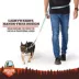 Arcadia Trail® Lightweight Dog Leash Reflective Elements for Nighttime Visibility image thumbnail 5