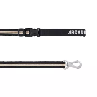Arcadia Trail® Lightweight Stripe Dog Leash Reflective Elements for Nighttime Visibility - Image 1