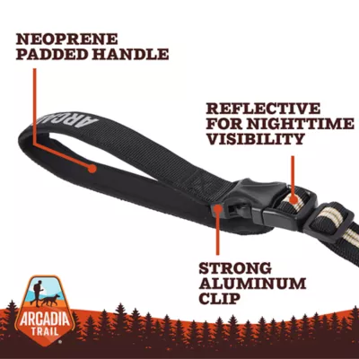 Arcadia Trail® Lightweight Stripe Dog Leash Reflective Elements for Nighttime Visibility - Image 3