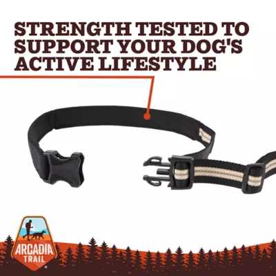 Arcadia Trail® Lightweight Stripe Dog Leash Reflective Elements for Nighttime Visibility - Image 4