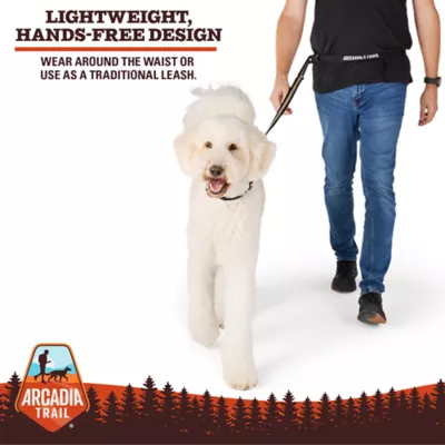 Arcadia Trail® Lightweight Stripe Dog Leash Reflective Elements for Nighttime Visibility - Image 5