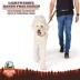 Arcadia Trail® Lightweight Stripe Dog Leash Reflective Elements for Nighttime Visibility image thumbnail 5
