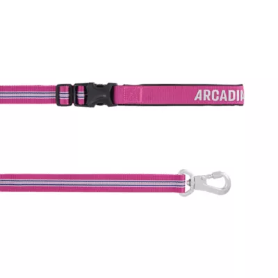 Arcadia Trail® Lightweight Stripe Dog Leash Reflective Elements for Nighttime Visibility - Image 1