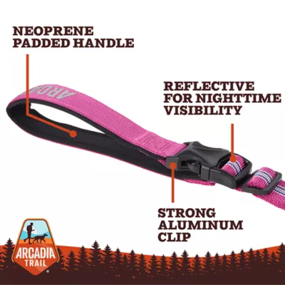 Arcadia Trail® Lightweight Stripe Dog Leash Reflective Elements for Nighttime Visibility - Image 3