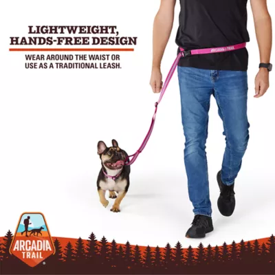 Arcadia Trail® Lightweight Stripe Dog Leash Reflective Elements for Nighttime Visibility - Image 5