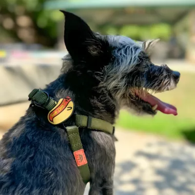 Jiby Sup Dog Dog Tag Charm - Image 2