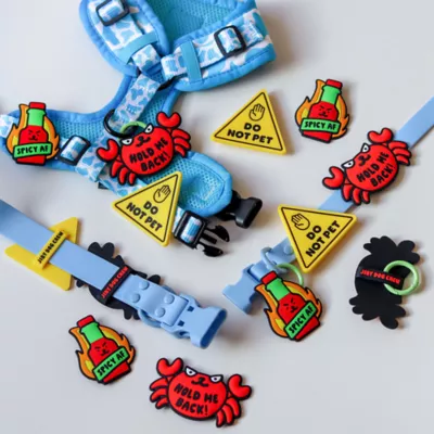 Jiby Spicy Af Dog Tag Charm - Image 2