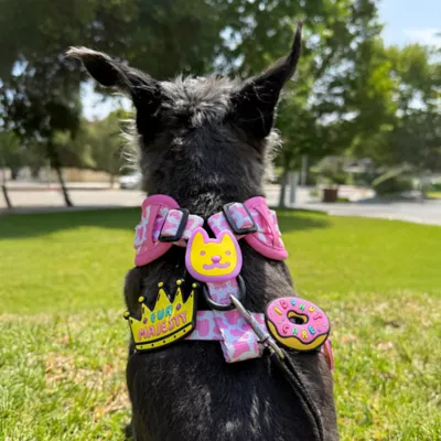 Jiby Donut Care Pink Dog Tag Charm - Image 5