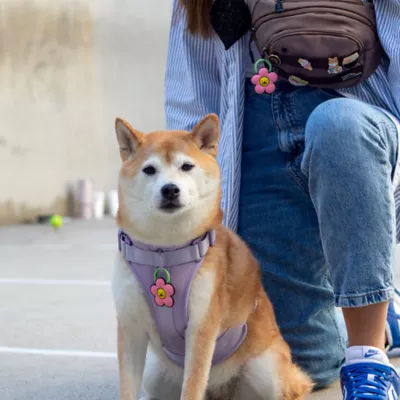 Jiby Pink Daisy Dog Tag Charm - Image 8