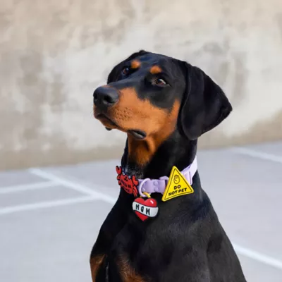 Jiby Do Not Pet Dog Tag Charm - Image 6