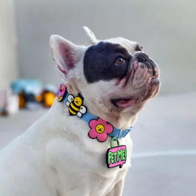 Jiby Pet Me Dog Tag Charm - Image 9