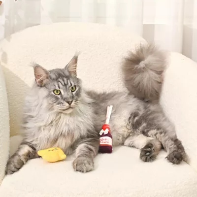 HugSmart® Catnip Wine Cheese Plush Cat Toys, 2 Pack - Image 5