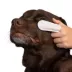 Goo-eez Eye Finger Wipes for Pets image thumbnail 2
