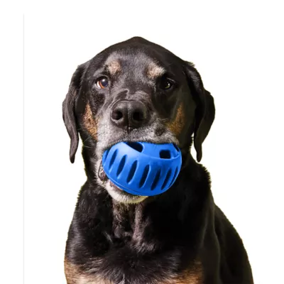 WOOF Pupsicle Dog Treat Dispensing Toy, Long-Lasting Fillable Dog Toy for Small Dogs, Navy Blue - Image 8