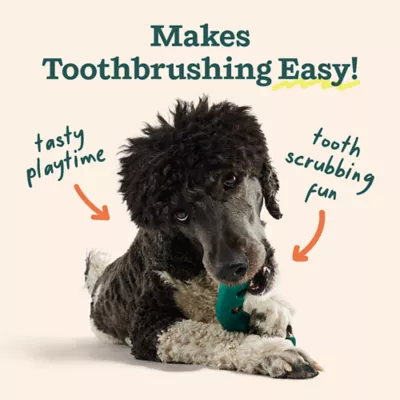 WOOF Bite n' Brush Dog Dental Care Treat Refills, Beef Flavor, Chicken-Free, 8 oz - Image 5