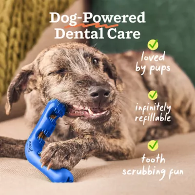 WOOF Bite n' Brush Dog Dental Care Treat Refills, Beef Flavor, Chicken-Free, 8 oz - Image 6