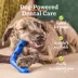 WOOF Bite n' Brush Dog Dental Care Treat Refills, Beef Flavor, Chicken-Free, 8 oz image thumbnail 6