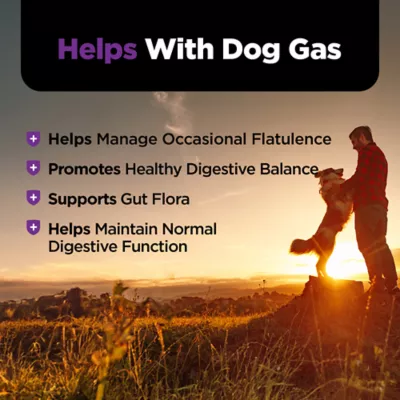 NutriVet Gas Busters Dog Digestive Supplement, Supports Flatulence, 60 Count - Image 3