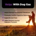 NutriVet Gas Busters Dog Digestive Supplement, Supports Flatulence, 60 Count image thumbnail 3