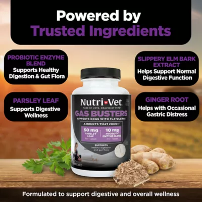 NutriVet Gas Busters Dog Digestive Supplement, Supports Flatulence, 60 Count - Image 5