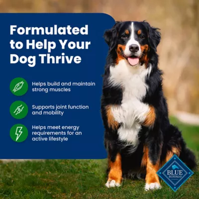 Blue Buffalo Life Protection Formula Adult Dry Dog Food - Lamb & Brown Rice - Image 4