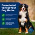 Blue Buffalo Life Protection Formula Adult Dry Dog Food - Lamb & Brown Rice image thumbnail 4