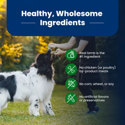Blue Buffalo Life Protection Formula Adult Dry Dog Food - Lamb & Brown Rice - Image 6