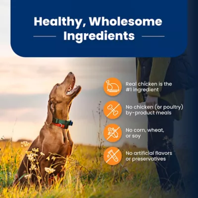 Blue Buffalo Life Protection Formula Large Breed Adult Dry Dog Food - Chicken & Brown Rice - Image 6