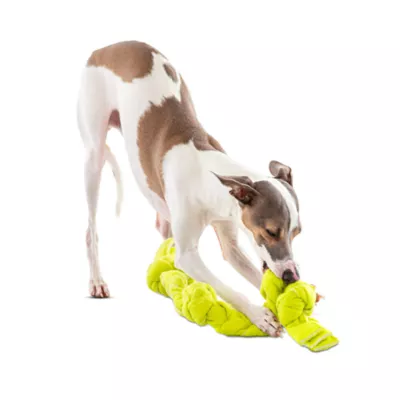 GURU Squeaking Tennis Snuffle Rope Dog Toy - Image 3