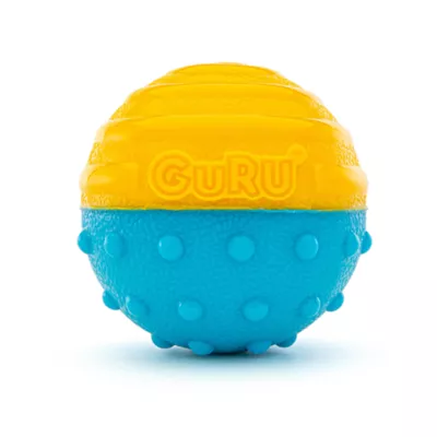 GURU Crunch & Squeak Ball Dog Toy - Image 1