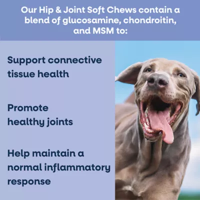 YumWell Hip & Joint Dog Soft Chews, Support Hip and Joint Mobility, Duck Flavor, 90 ct - Image 2