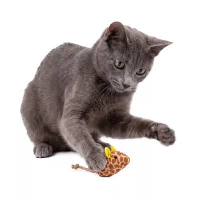 Smarty Kat Safari Skitters Cat Toys - 10 Pack - Image 4