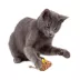 Smarty Kat Safari Skitters Cat Toys - 10 Pack image thumbnail 4