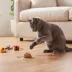 Smarty Kat Safari Skitters Cat Toys - 10 Pack image thumbnail 5