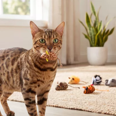 Smarty Kat Safari Skitters Cat Toys - 10 Pack - Image 6