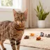 Smarty Kat Safari Skitters Cat Toys - 10 Pack image thumbnail 6