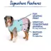 Top Paw® Everyday Dog Dress Stars, Multiple Sizes, XS-XL image thumbnail 3
