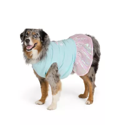Top Paw® Everyday Dog Dress Stars, Multiple Sizes, XS-XL - Image 1