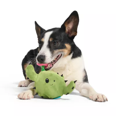 BARK Consuela The Cactus Dog Toys - Image 3