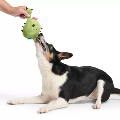 BARK Consuela The Cactus Dog Toys - Image 4
